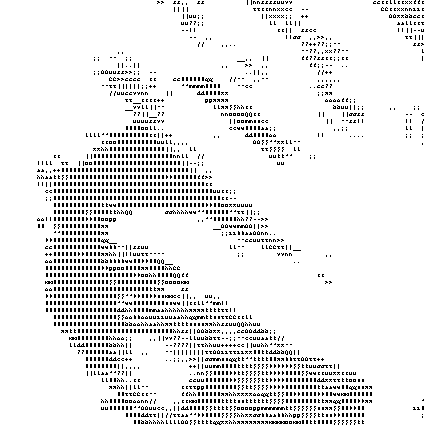 webcam_ascii.gif